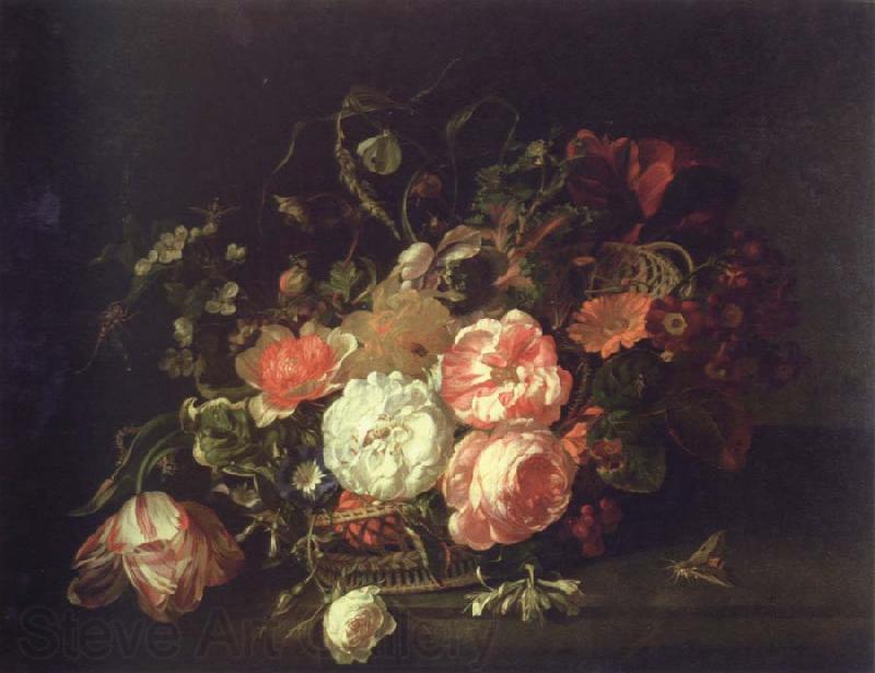 Rachel Ruysch flowers and lnsects